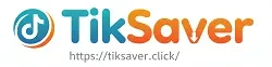 tiksaver.click